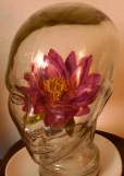 TETE VERRE FLEUR LOTUS ROGNEE POUR OJAS MEDITATION
