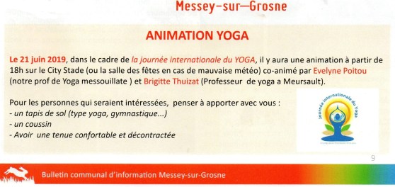 JOURNEE INTERNATIONALE DU YOGA A MESSEY SUR GROSNE JUIN 2019